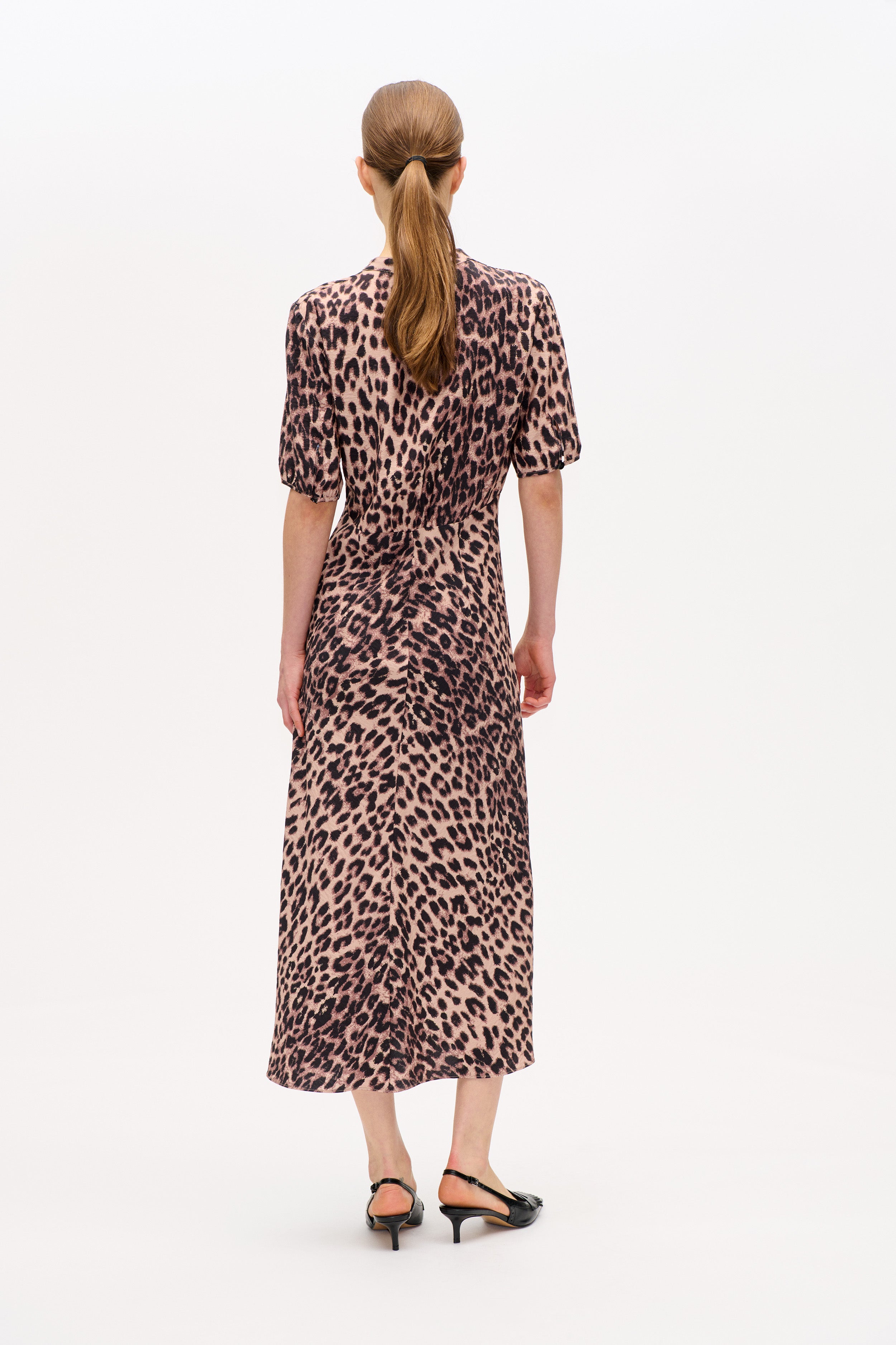 24162_1366_2.jpg media file