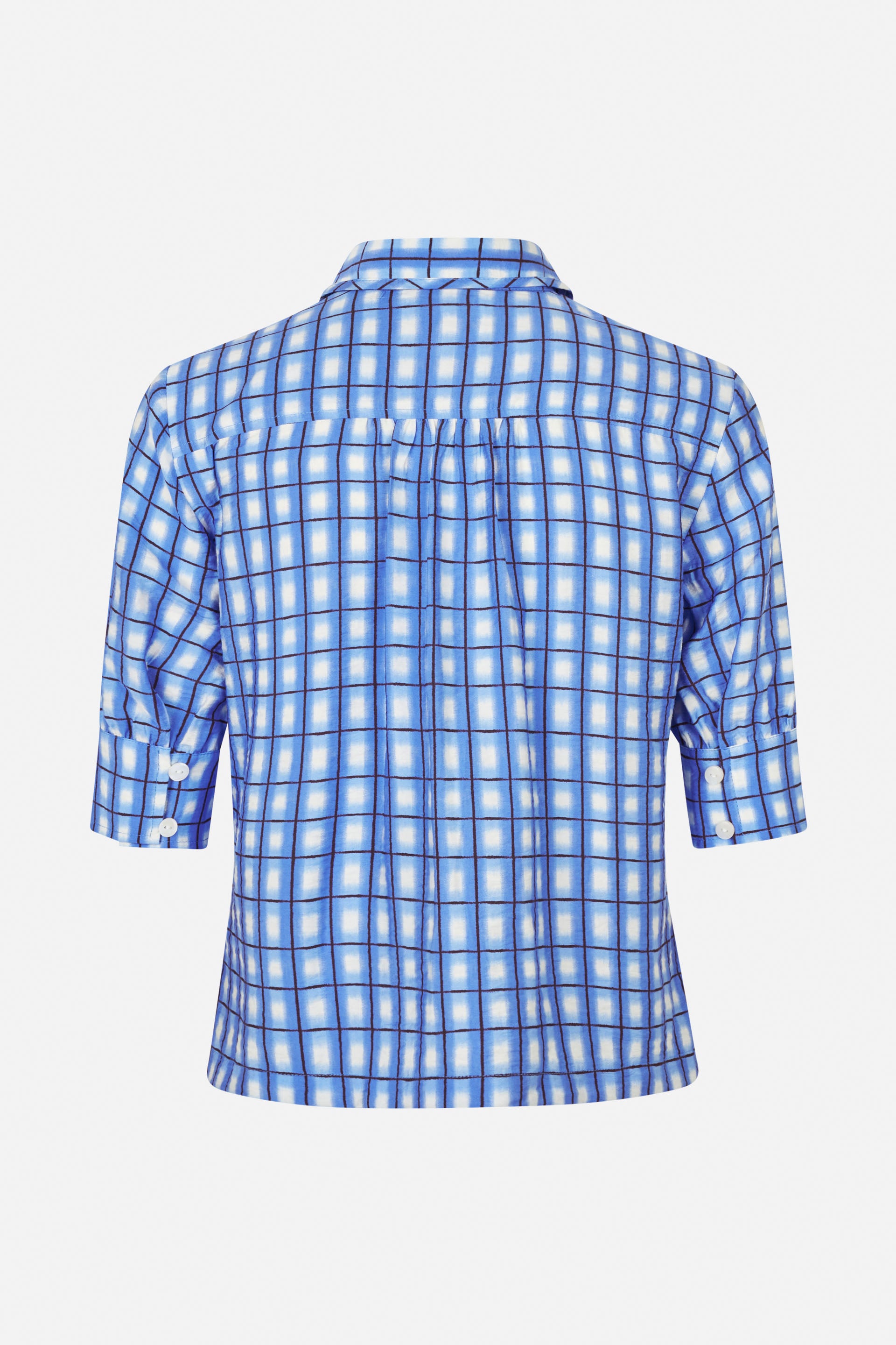 24207_7540_5.jpg media file