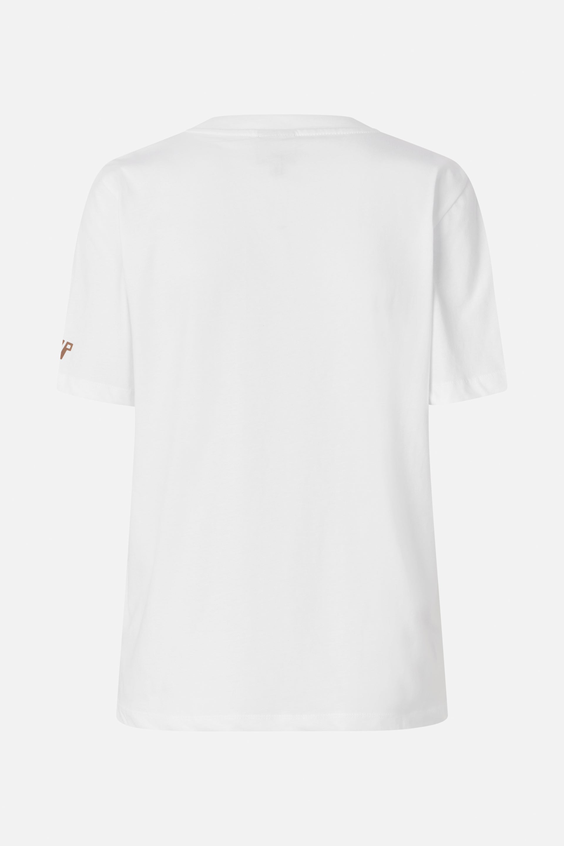 24278_8196_5.jpg media file