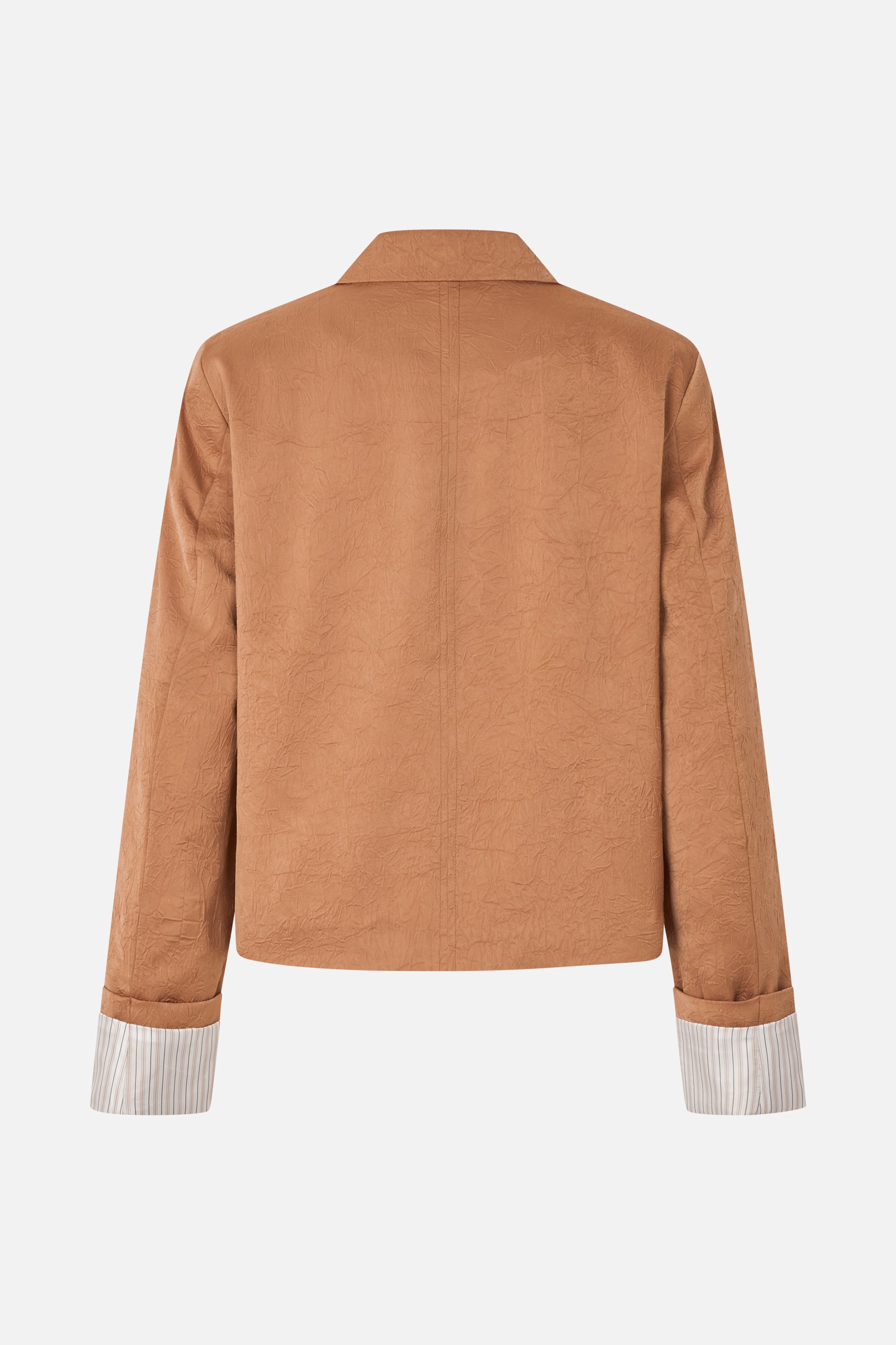 24289_8194_5.jpg media file