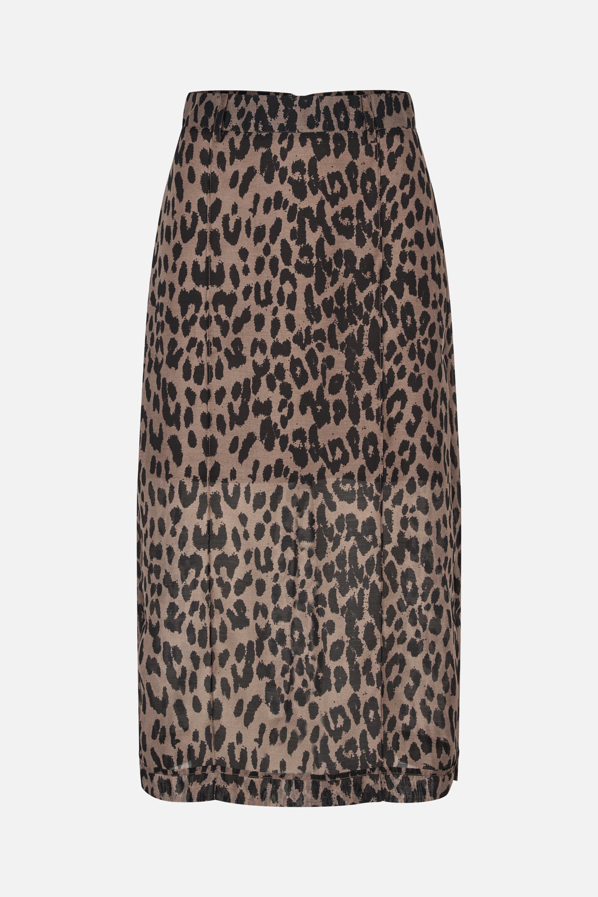 24390_8209_4.jpg media file