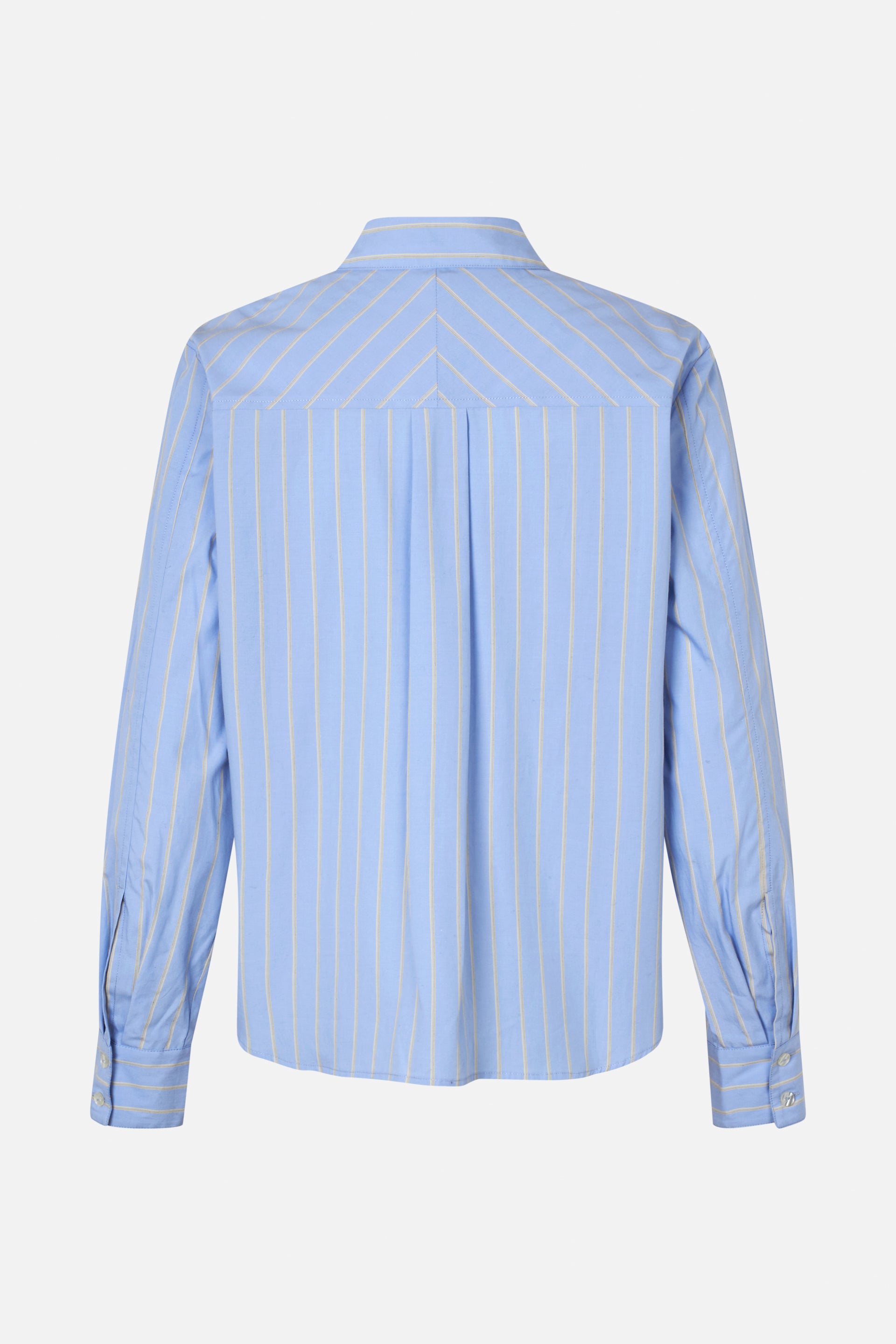 24396_7556_5.jpg media file