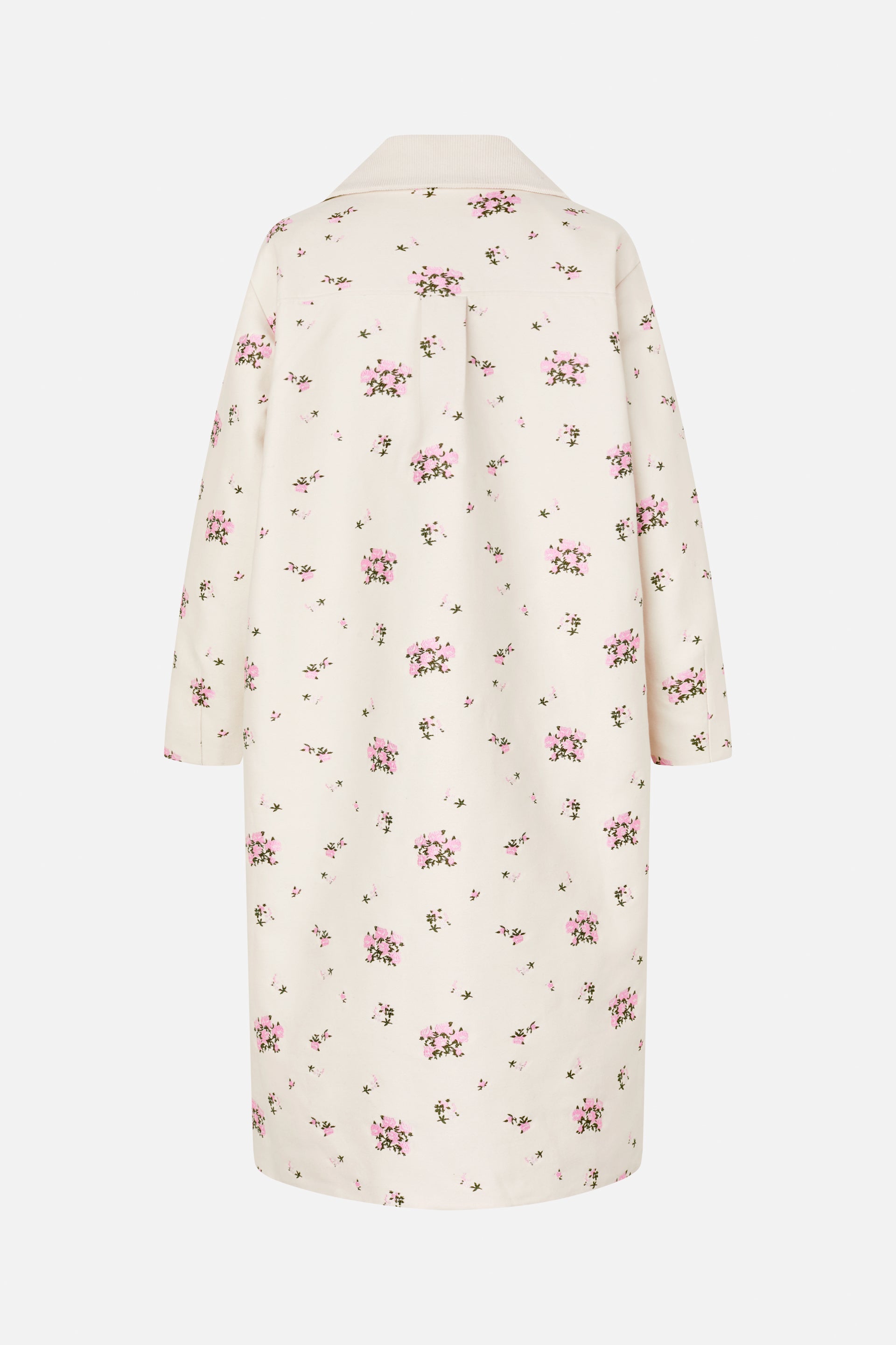 24599_2187_5.jpg media file