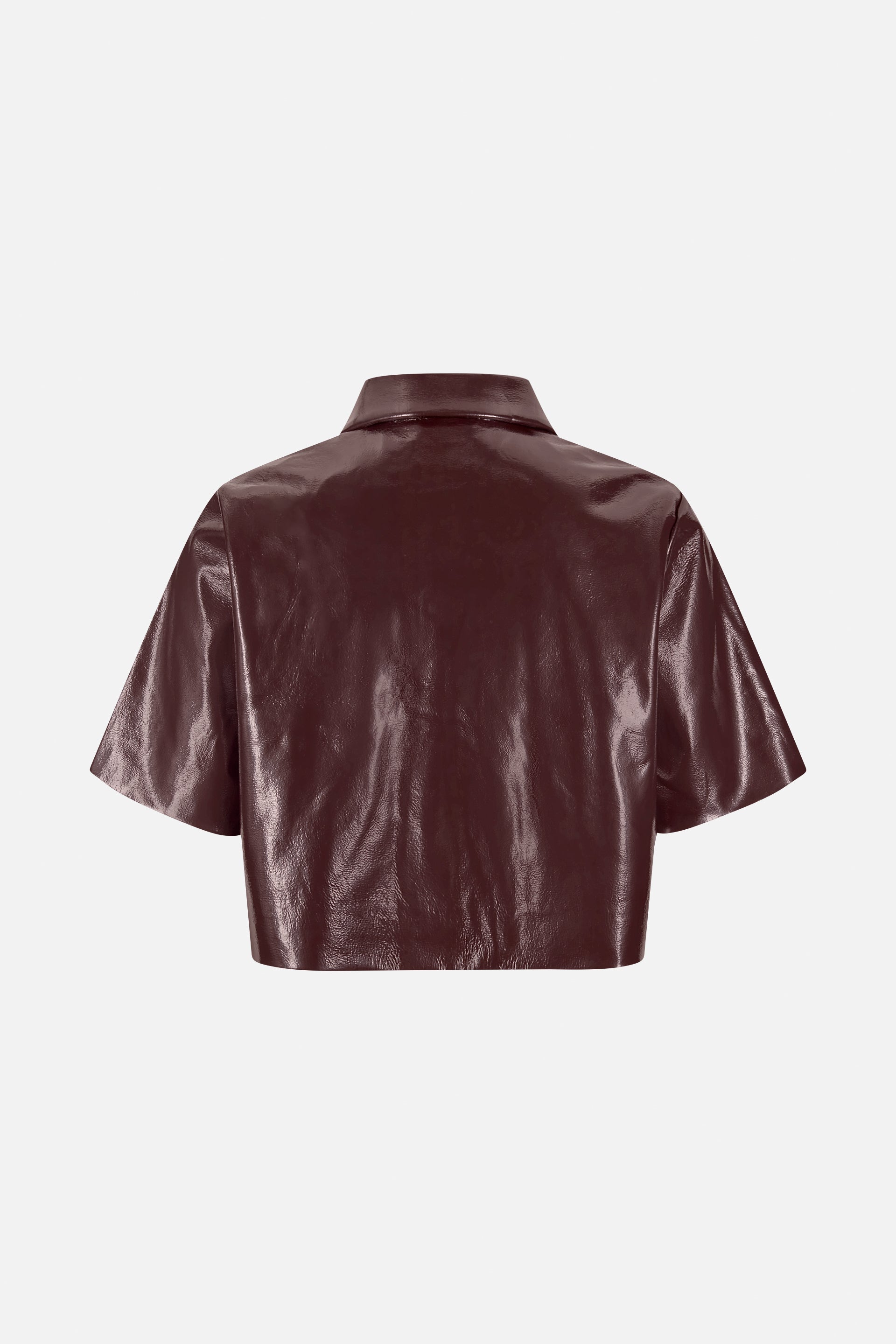 24649_4045_5.jpg media file