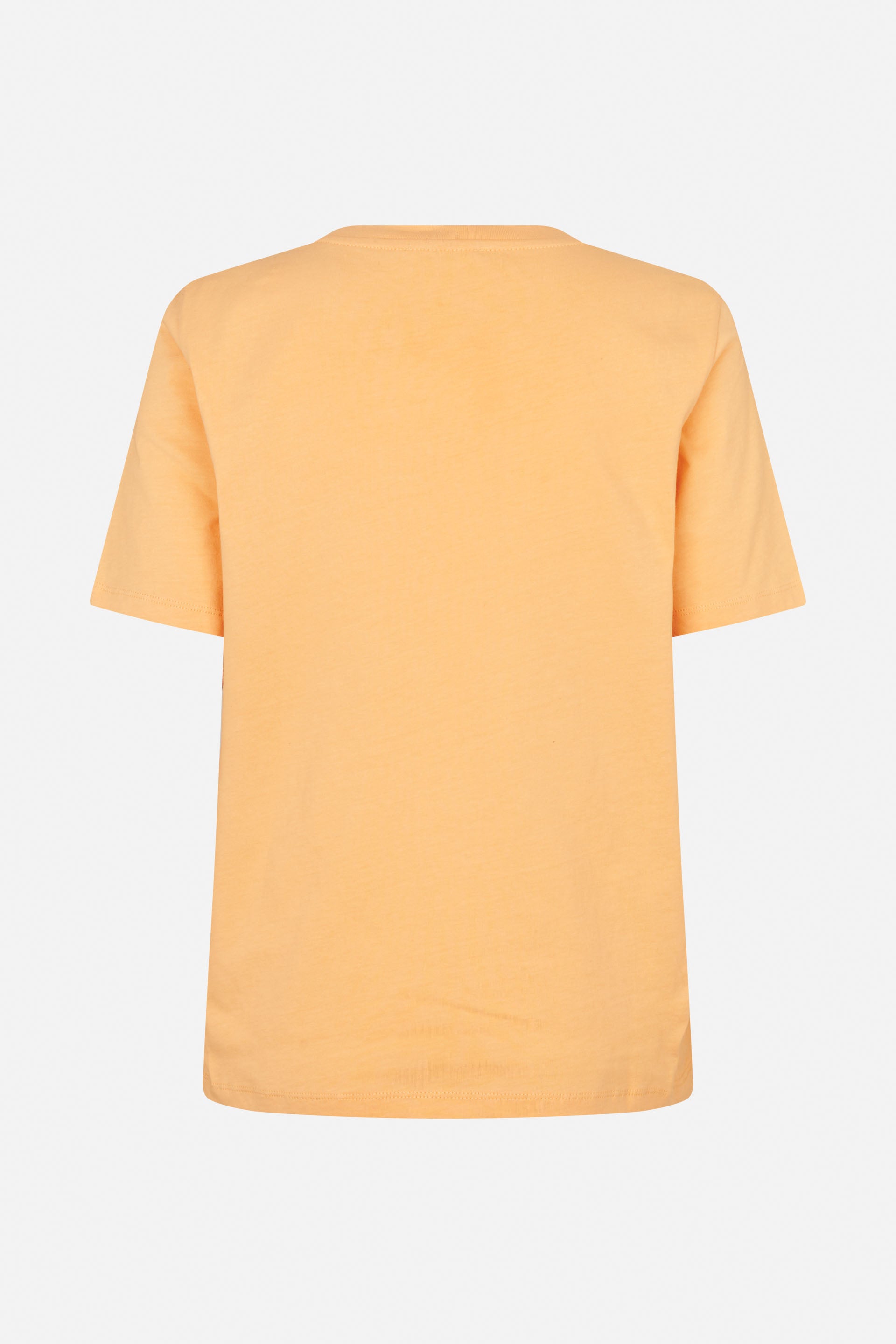 24777_3160_5.jpg media file