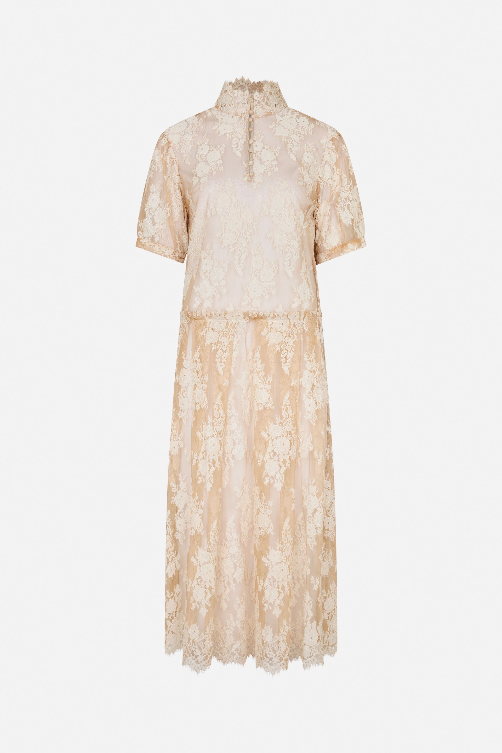 24857_8222_4.jpg media file