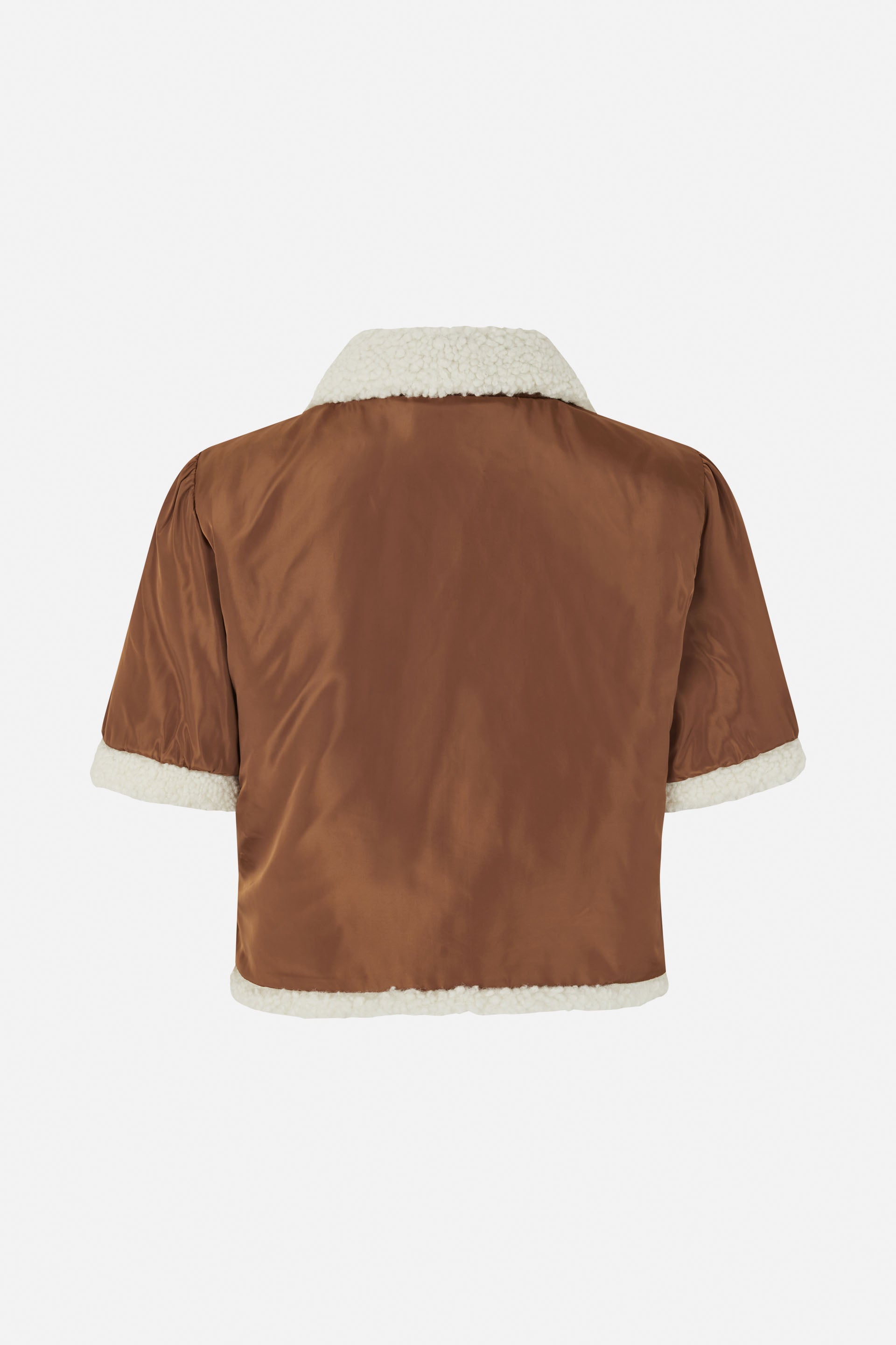 24767_8228_5.jpg media file