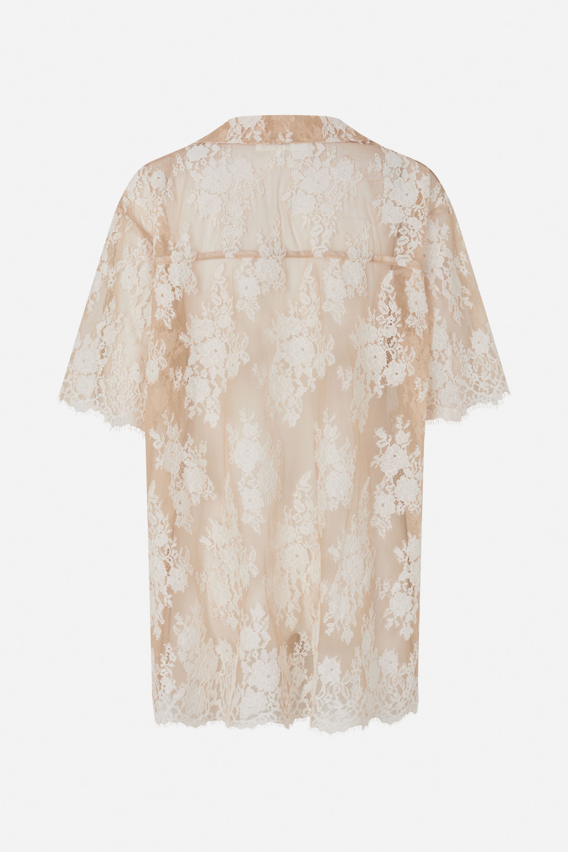 24782_8222_5.jpg media file