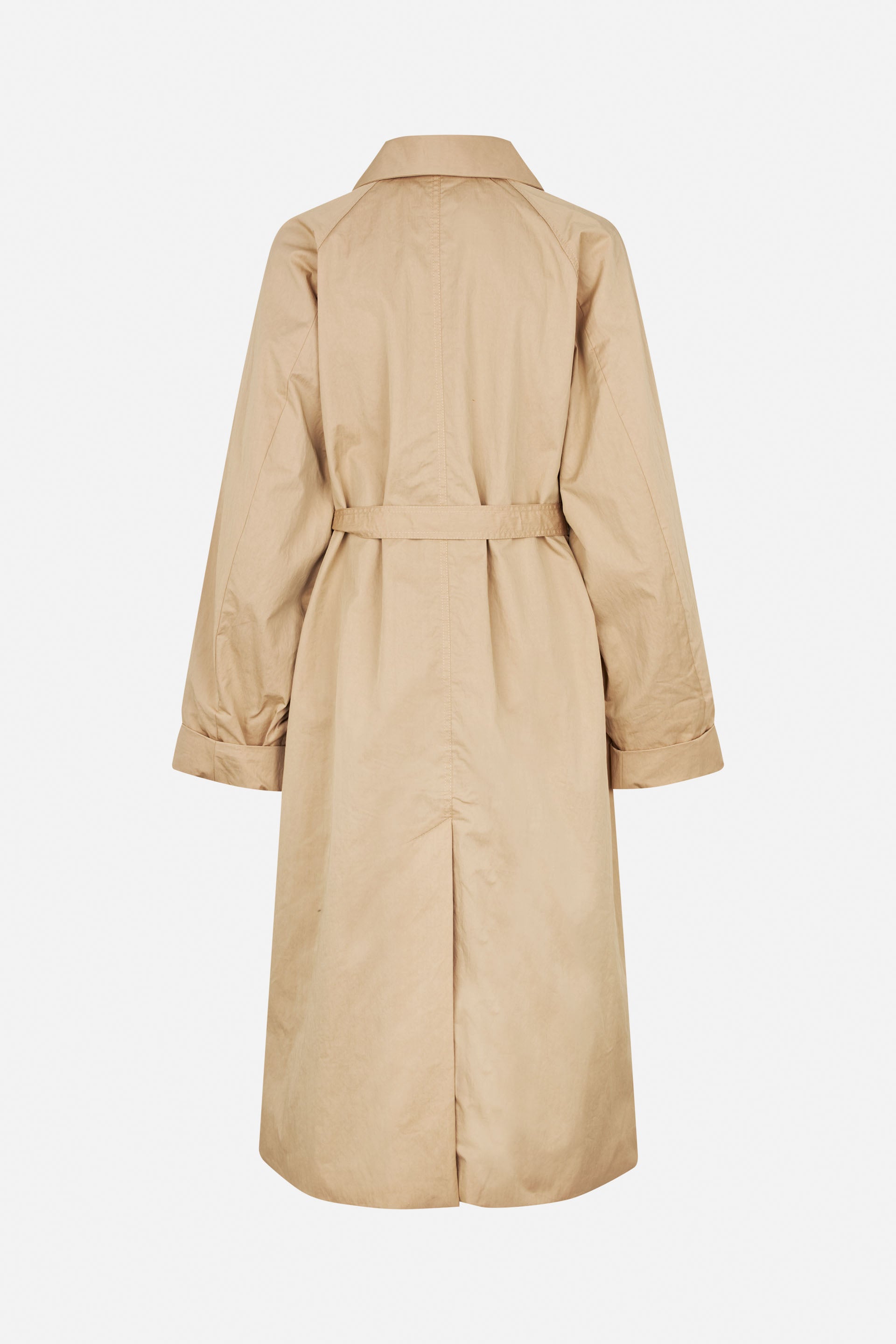 24791_8126_5.jpg media file