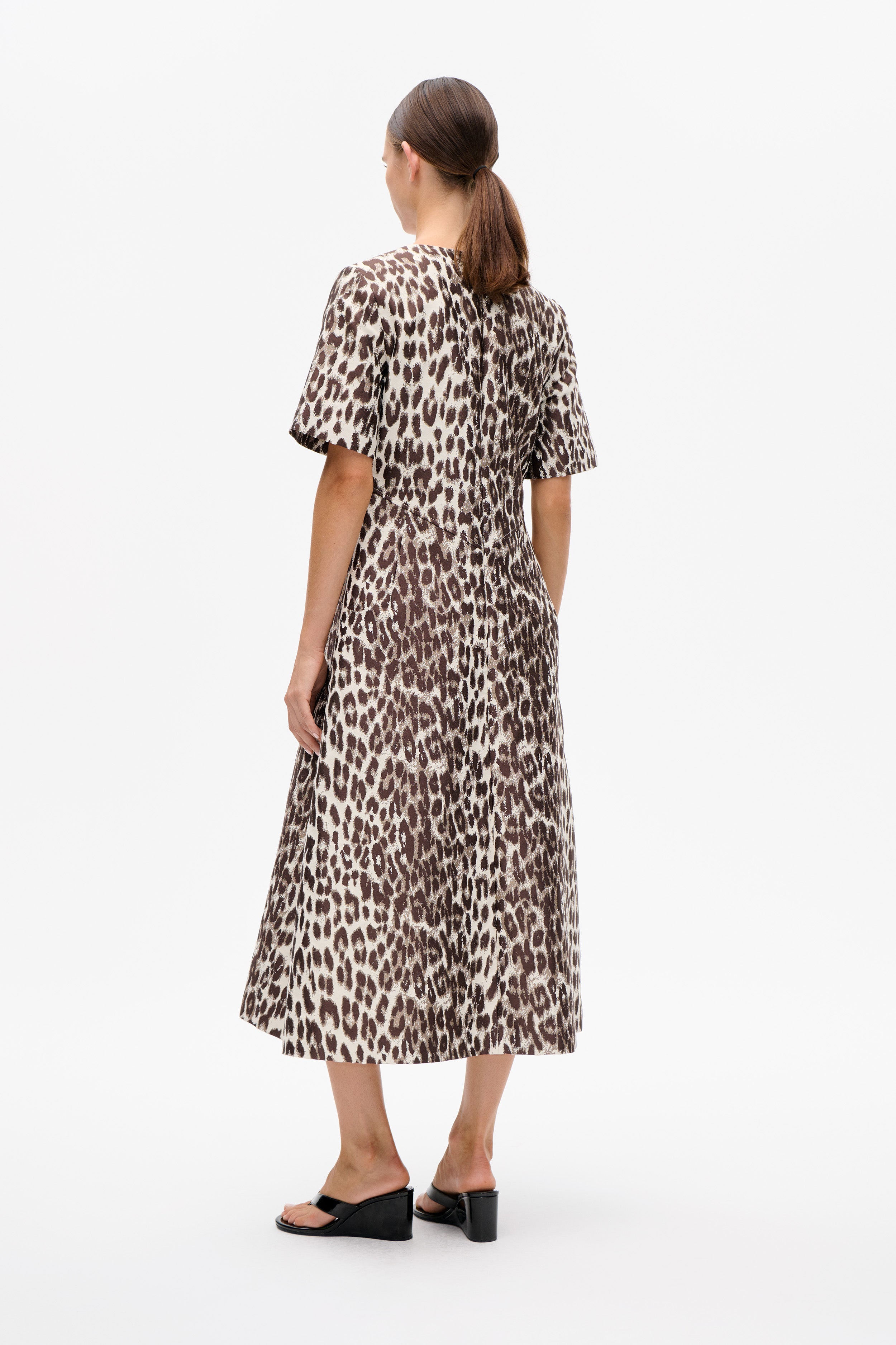 24850_1417_2.jpg media file