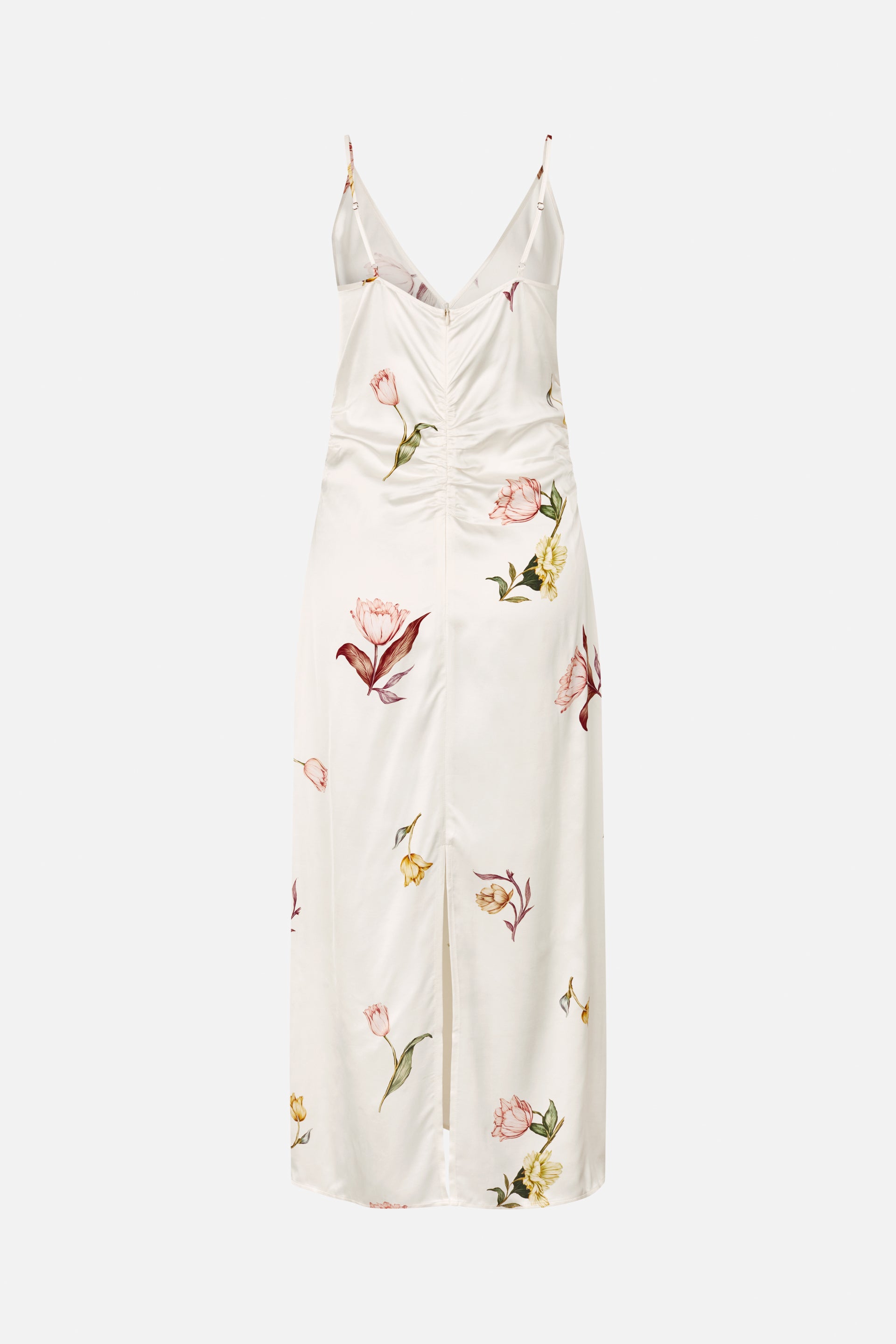 24893_1424_5.jpg media file