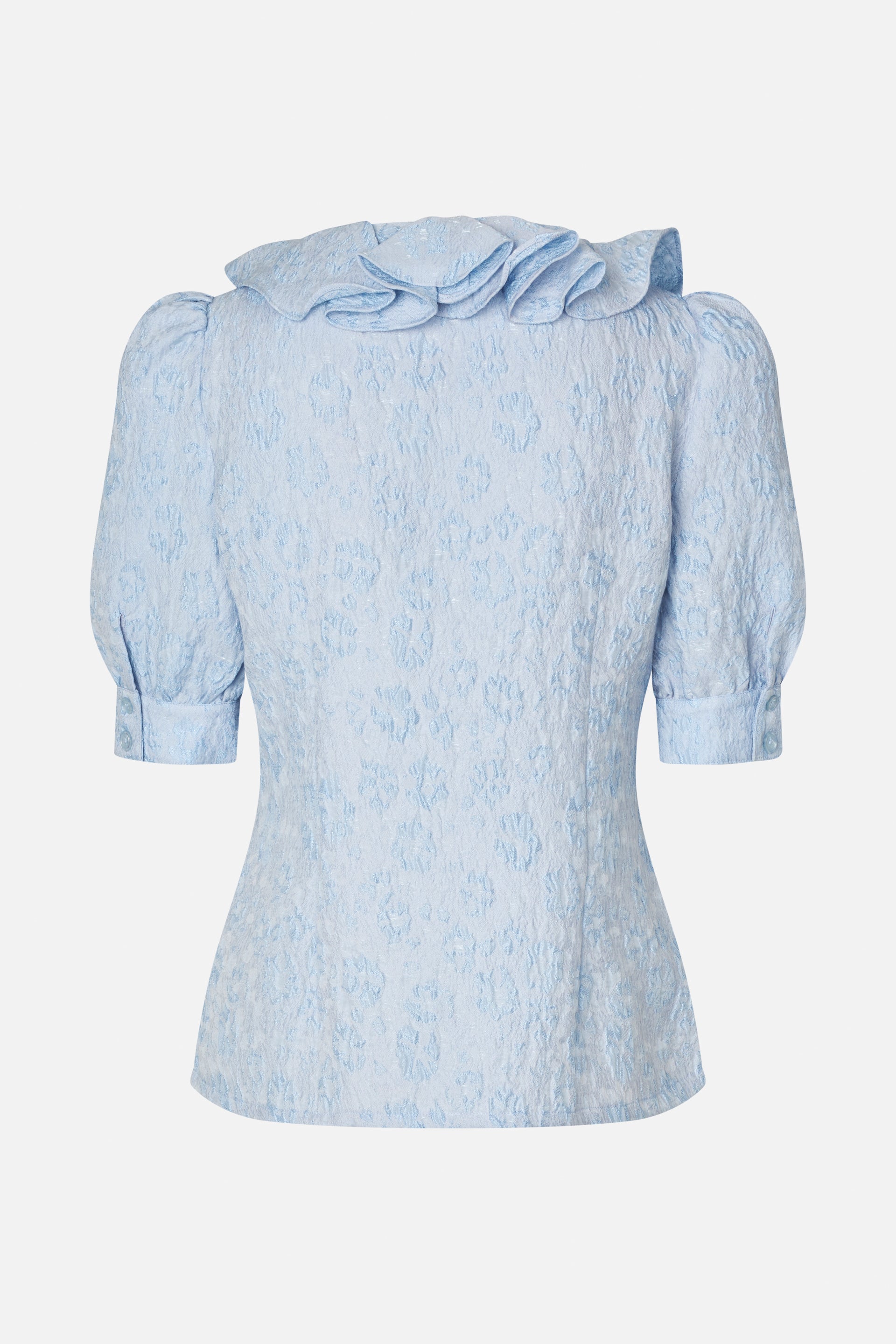 24916_7719_5.jpg media file