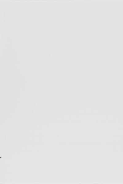 24663_7880_3.mov media file