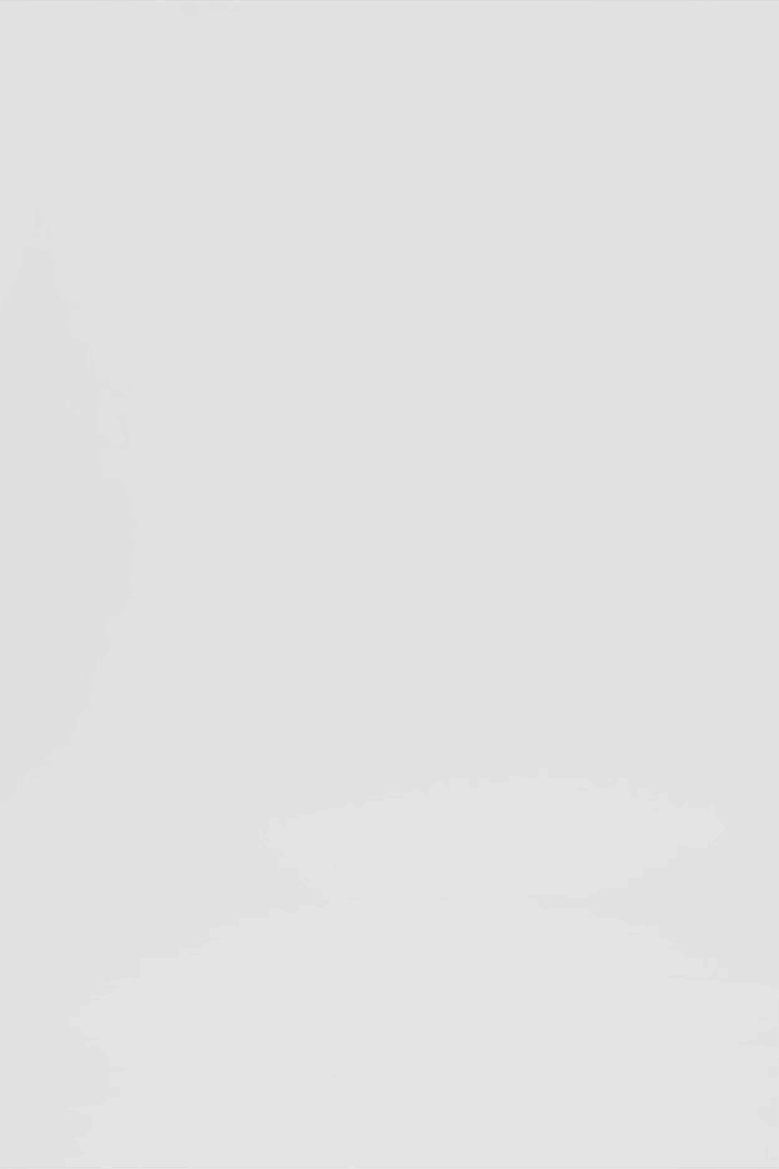 24598_9999_3.mov media file