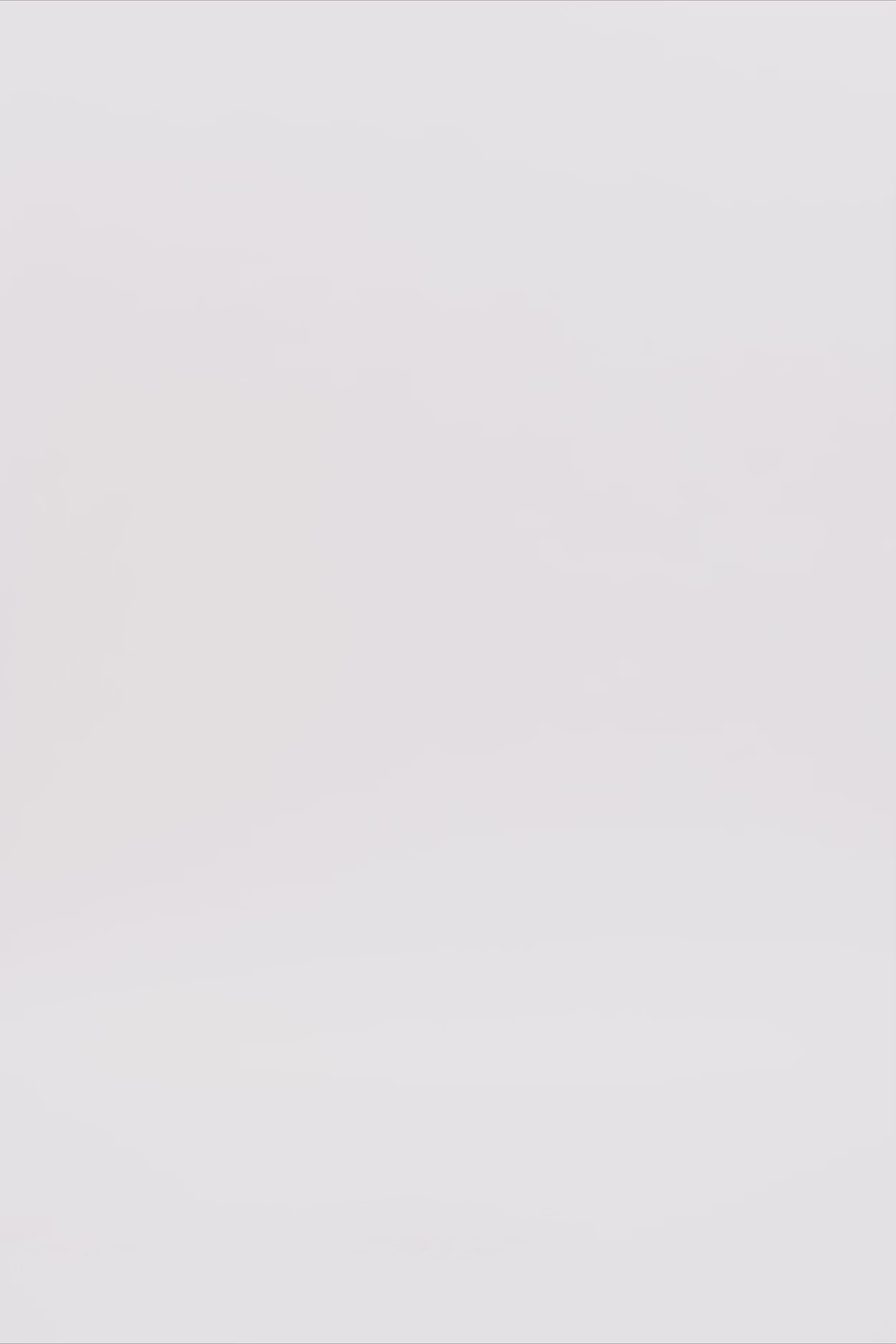 24804_3076_3.mov media file