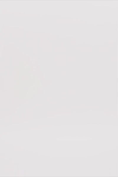 24736_2977_3.mov media file